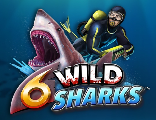 6 Wild Sharks Poster