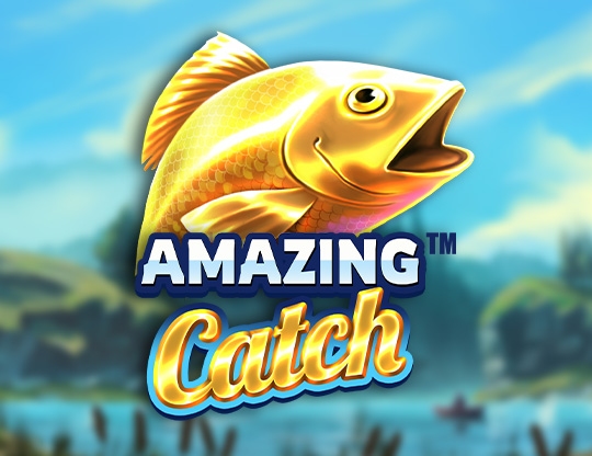 Amazing Catch Poster