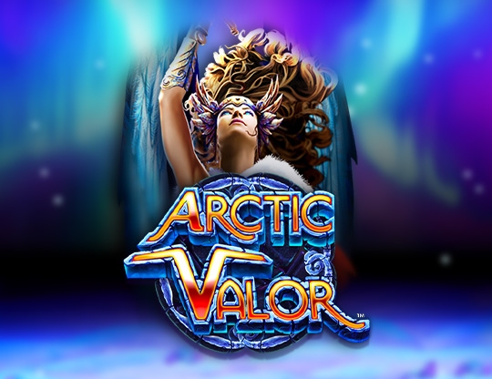 Arctic Valor Poster