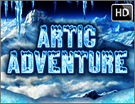 Artic Adventure Poster