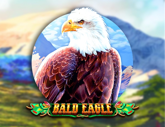 Bald Eagle Poster
