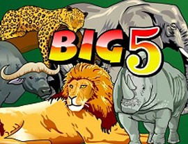 Big 5 Poster