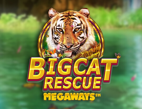 Big Cat Rescue Megaways Poster