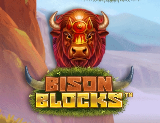 Bison Blocks Poster