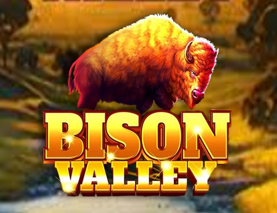 Bison Valley Poster