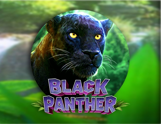 Black Panther Poster