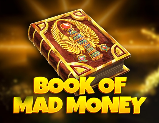 Book of Mad Money Poster