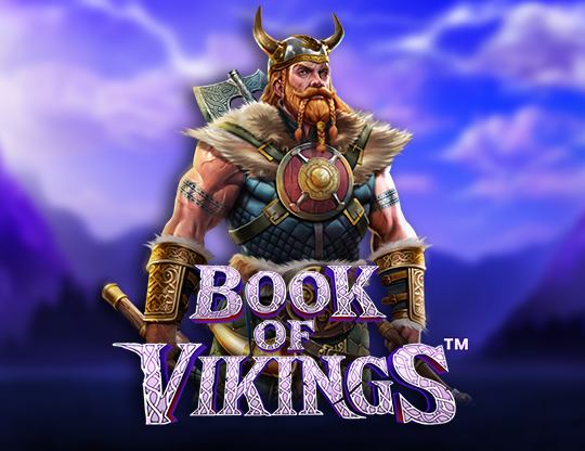 Book of Vikings Poster