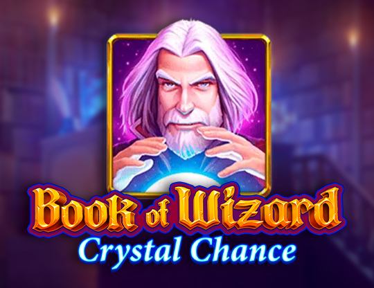 Book of Wizard Poster