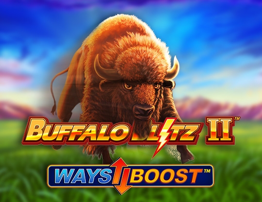Buffalo Blitz 2 Poster