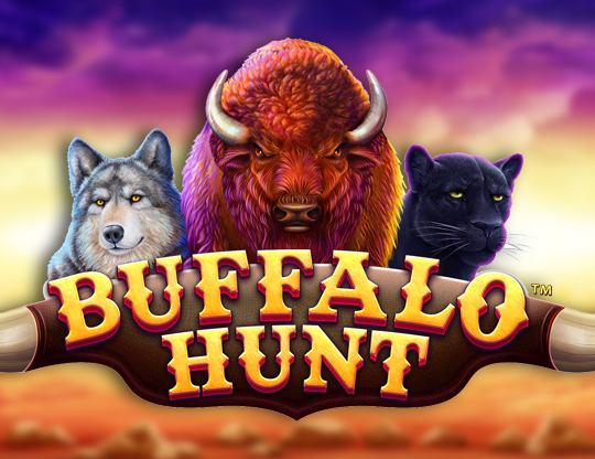 Buffalo Hunt Poster