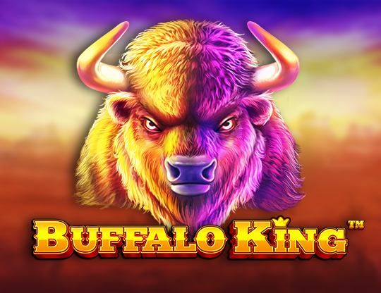 Buffalo King Poster