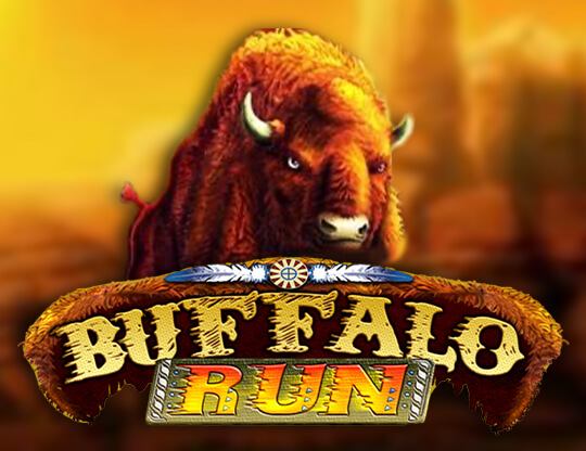 Buffalo Run Poster