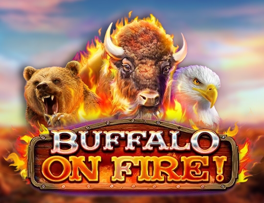 Buffalo on Fire! Poster