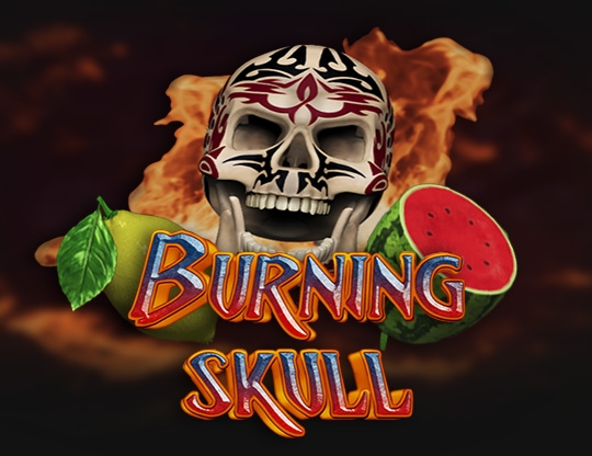 Burning Skull Poster