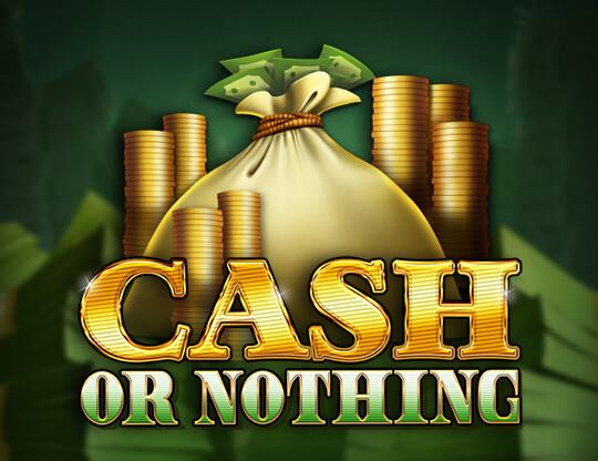 Cash or Nothing Poster
