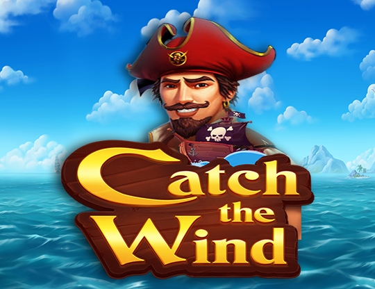 Catch The Wind Poster