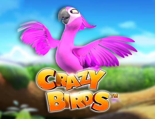 Crazy Birds Poster