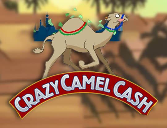 Crazy Camel Cash Poster