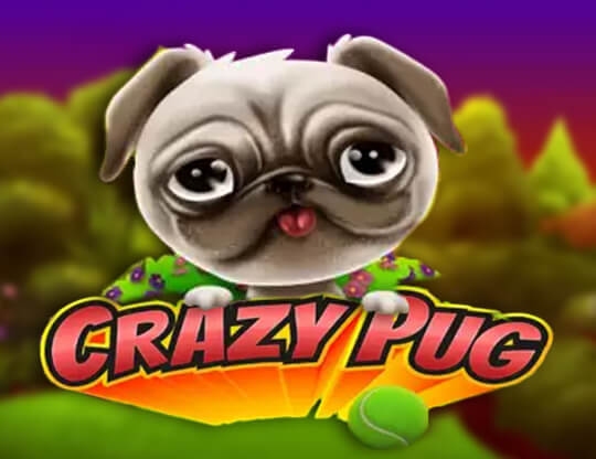 Crazy Pug Poster