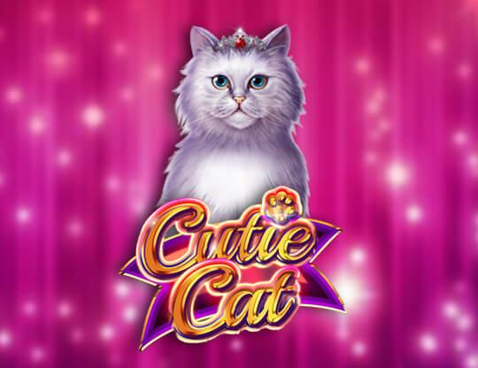 Cutie Cat Poster