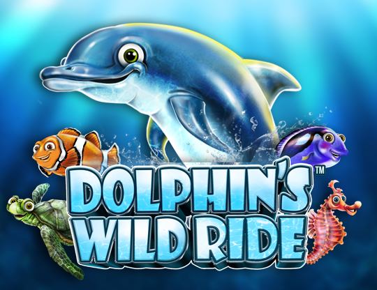 Dolphin's Wild Ride Poster