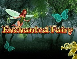 Enchanted Fairy Poster