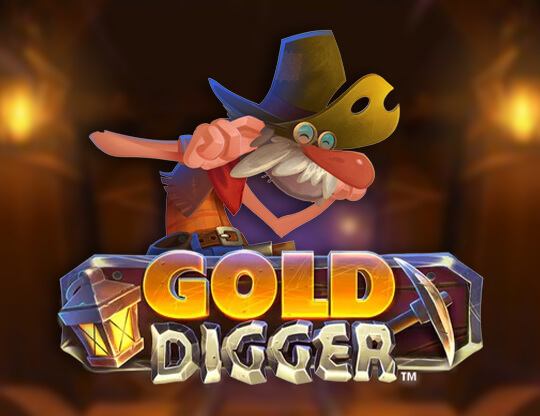 Gold Digger Poster