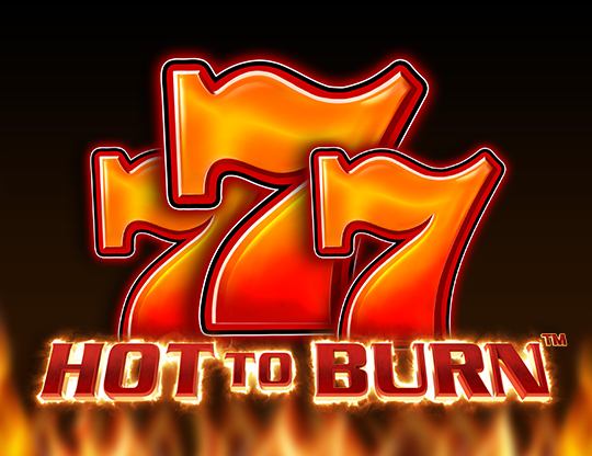 Hot to Burn Poster