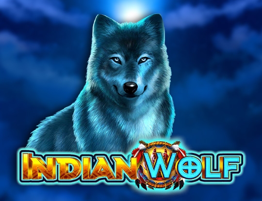 Indian Wolf
