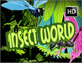 Insect World Poster