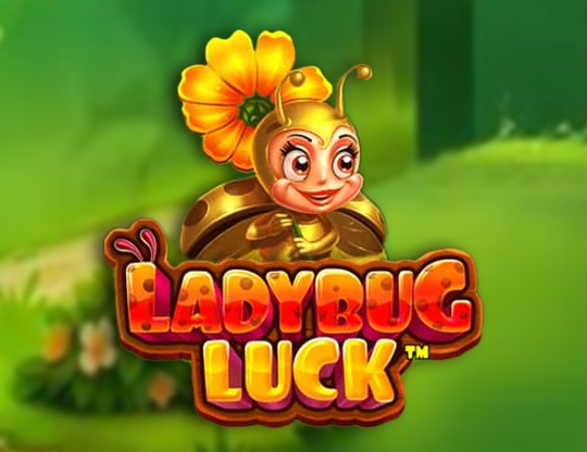 Ladybug Luck Poster
