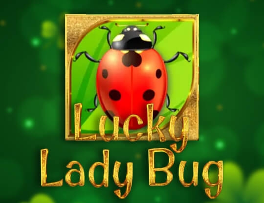Lucky Lady Bug Poster
