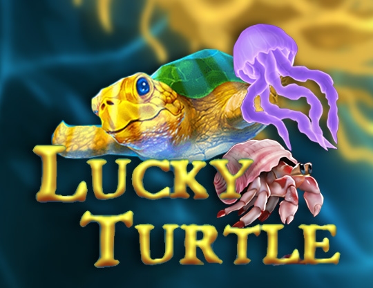 Lucky Turtle Poster