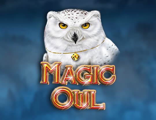 Magic Owl Poster
