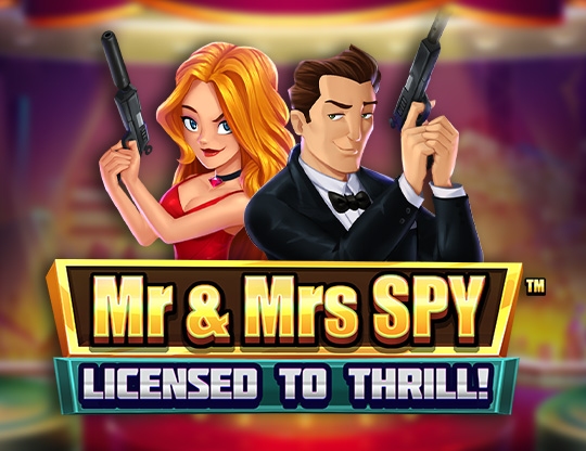 Mr & Mrs Spy Poster