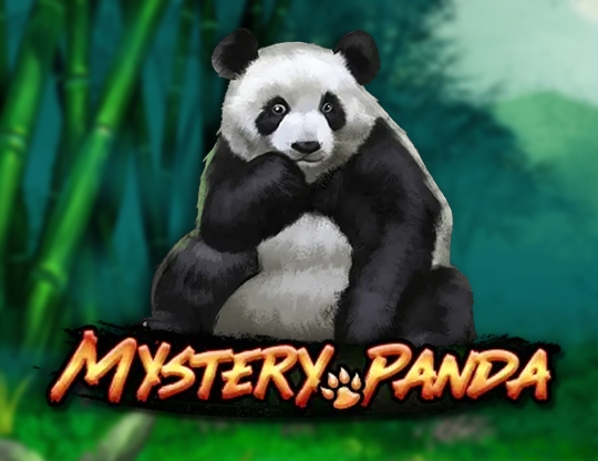 Mystery Panda Poster
