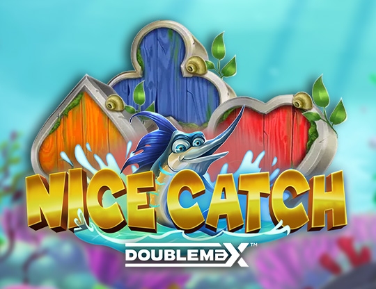 Nice Catch DoubleMax Poster