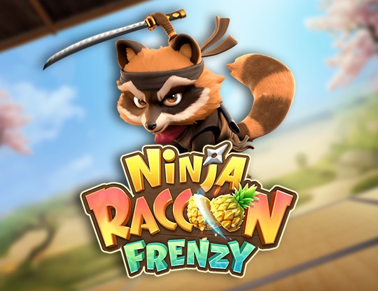 Ninja Raccoon Frenzy Poster