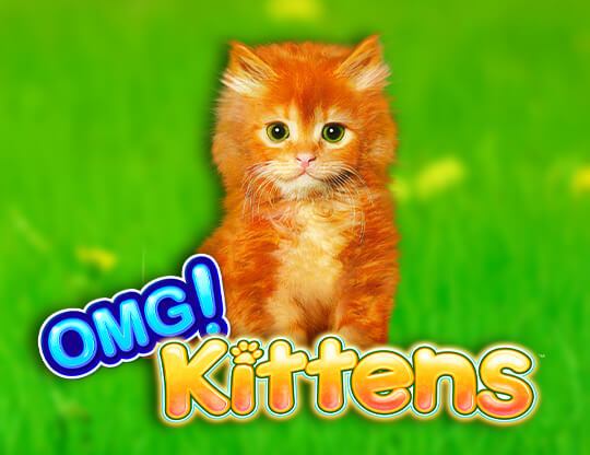 OMG Kittens Poster