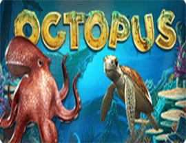 Octopus Poster