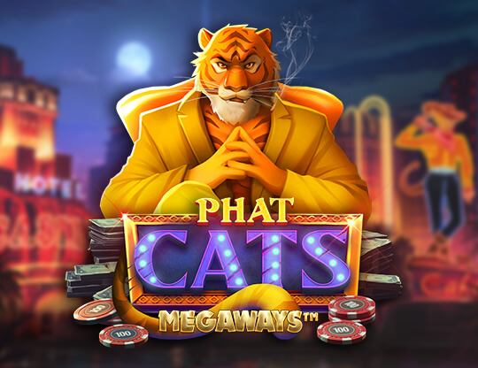 Phat Cats Megaways Poster