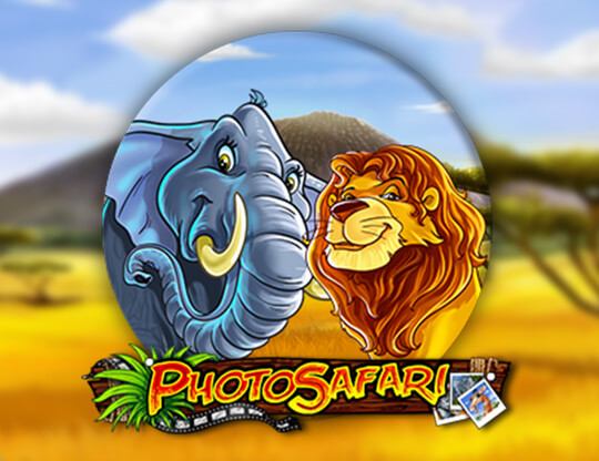 Photo Safari Poster