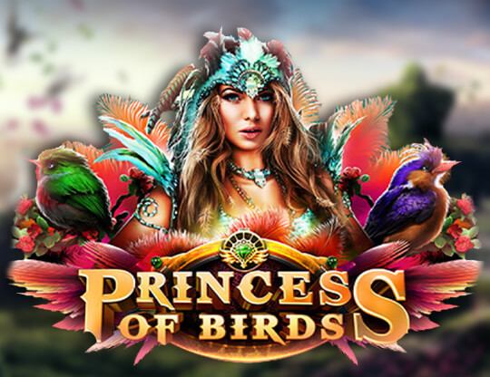 Princess of Birds Poster