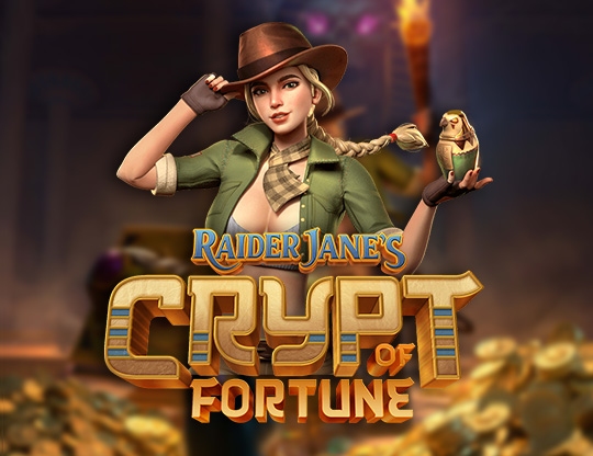 Raider Jane's Crypt of Fortune Poster