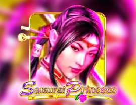 Samurai Princess Poster