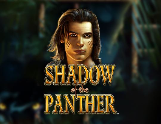 Shadow of the Panther Poster