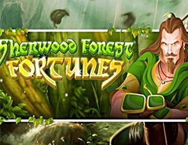 Sherwood Forest Fortunes Poster