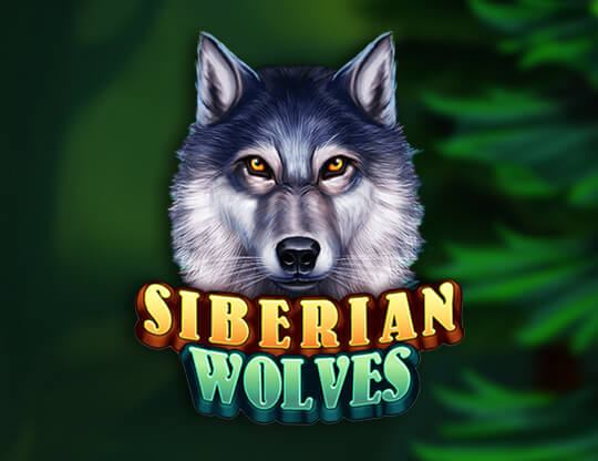 Siberian Wolves Poster