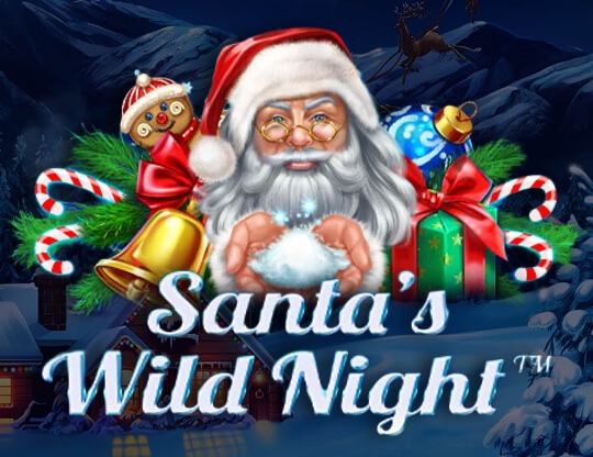 Santas Wild Night Poster
